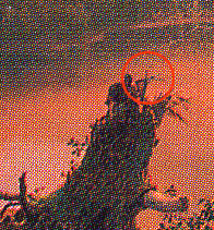 Detail of crossed branches in Twilight in the Wilderness
