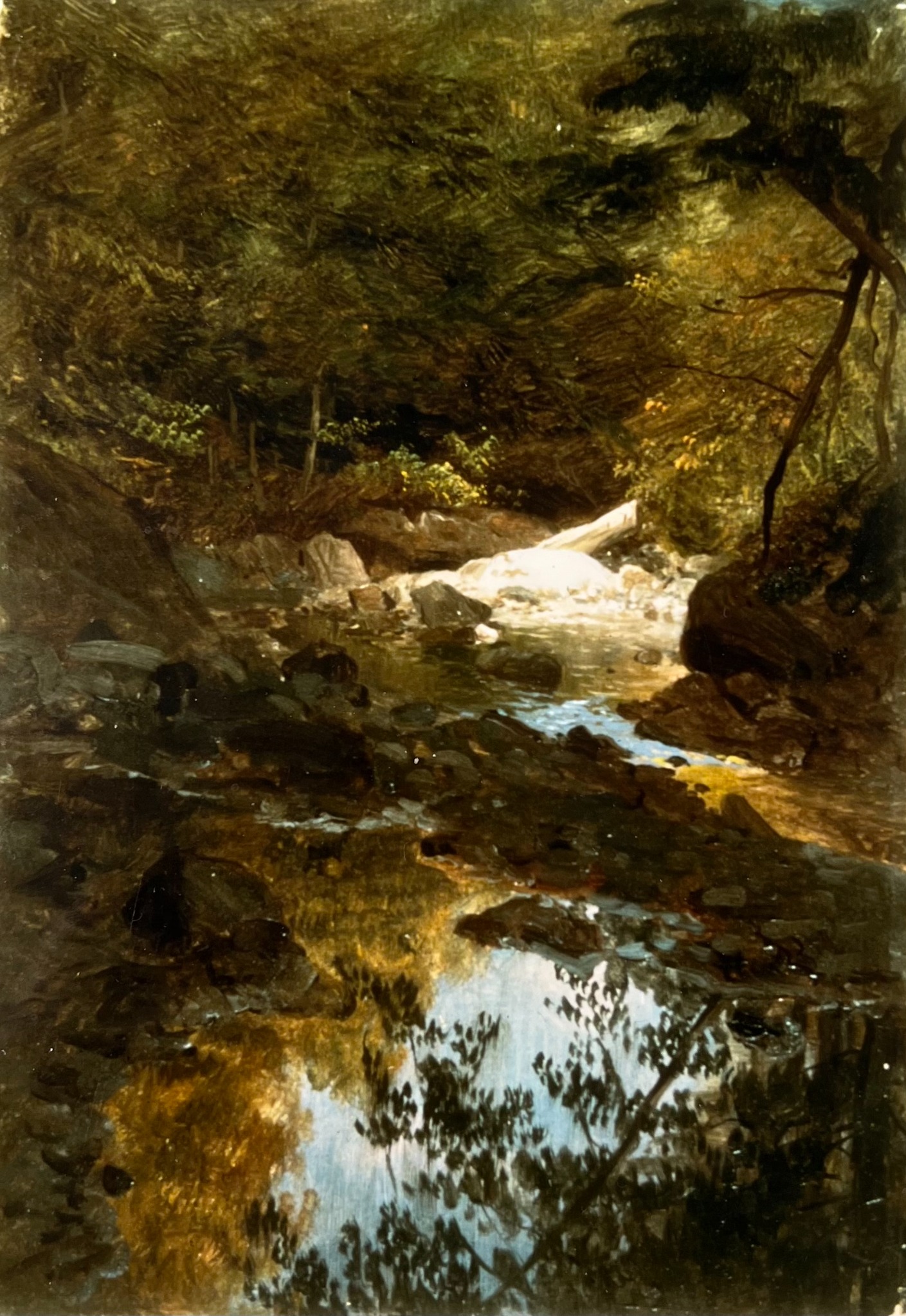 In the New England Woods (now retitled Woodland Stream by Cooper Hewitt) 1856 (AAT attribution)